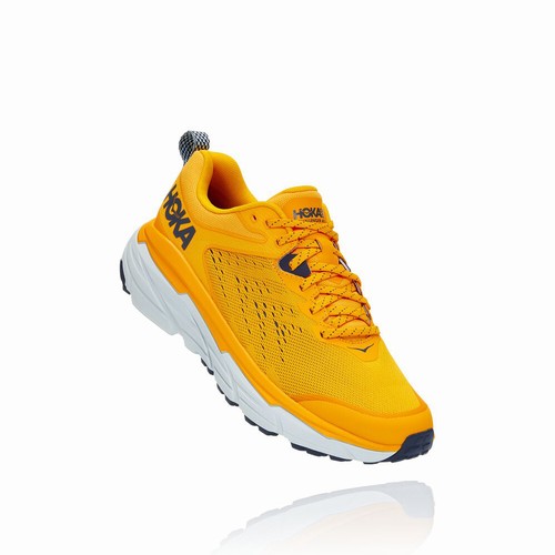 Hoka One One CHALLENGER ATR 6 Trail Running Shoes For Men India Yellow IN-9025